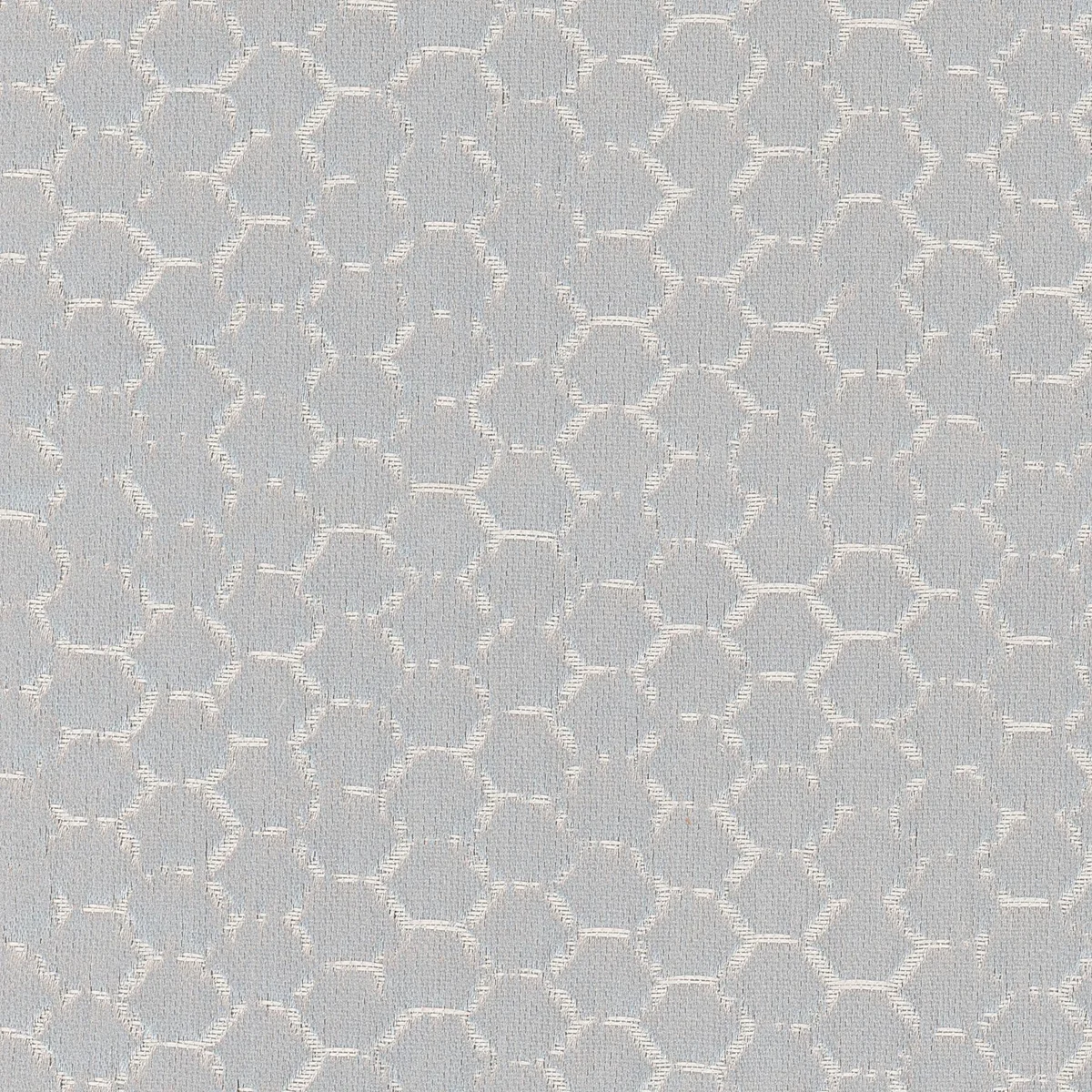 AVANT-1